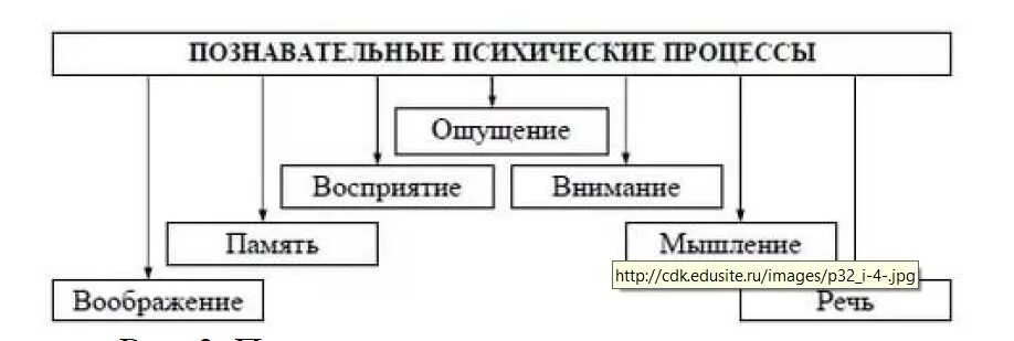 8 познавательных процессов. Психические процессы человека схема. Познавательные процессы схема. Схема Познавательные процессы человека. Основные психологические Познавательные процессы.