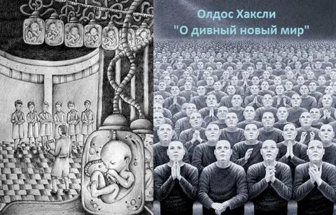 Новый чудный мир