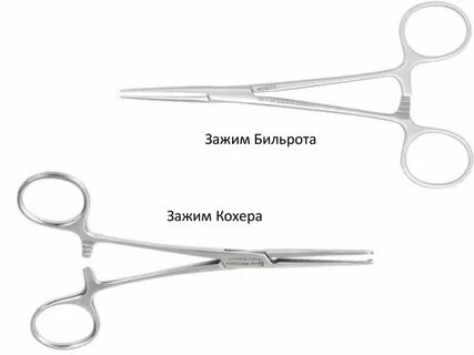 Зажим бельрота