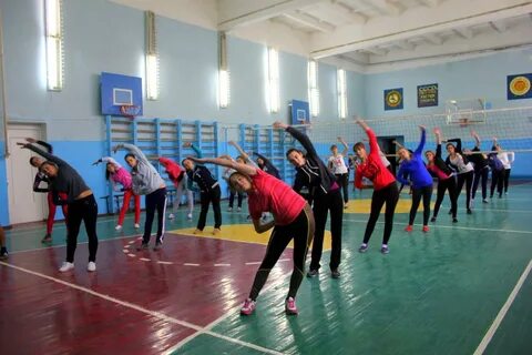 Физическое воспитание и студенческий спорт