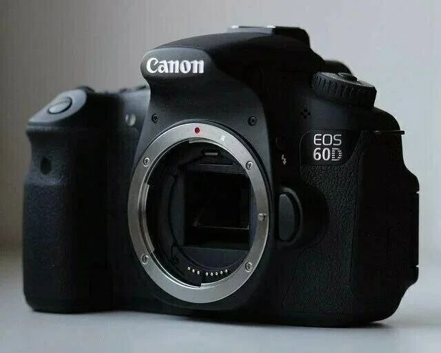 Canon eos 60d примеры фото Дашенька :: Екатерина Князькина Социальная сеть ФотоКто