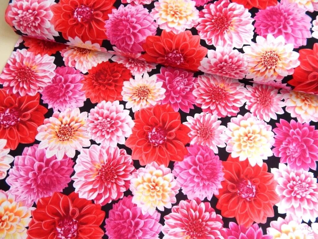 лоскуток череповец. магазин лоскуток. соколова соколенка 19б. магазин ткани лоскуток череповец. лоскуток череповец.