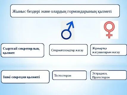 Автобуста қарап тұрып қалдым.