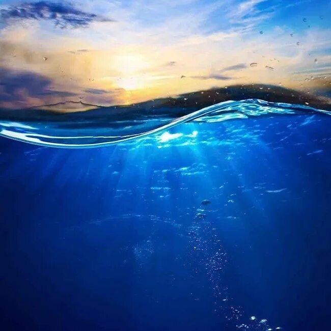 Морское дно. Море глубина. Глубина моря открытое море отзывы. Дно океана. Открытое море монстр глубины 2022 постер.