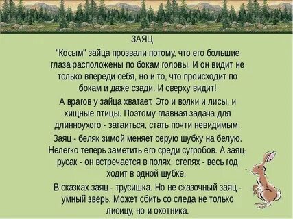 Почему зайца называют трусишкой