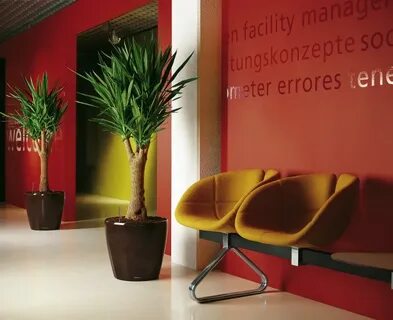 Plants company