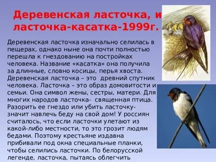 Эволюция филогенез рода человек миграция деревенских ласточек