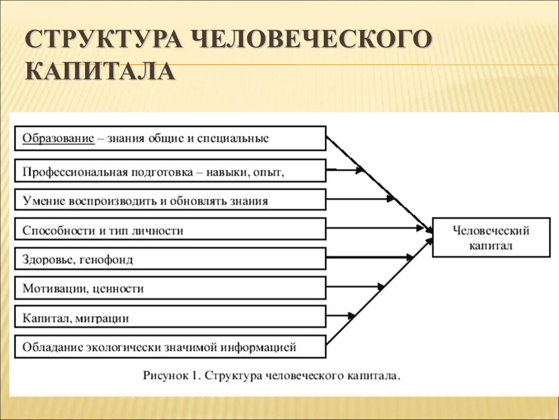 Структура человеческого капитала схема. Схема формирования человеческого капитала. Составляющие структуры "человеческий капитал":. Укажите составляющие структуры "человеческий капитал":. Активы человеческого капитала