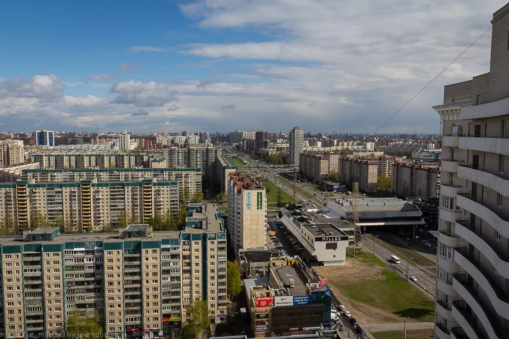 Приморском районе петербурга