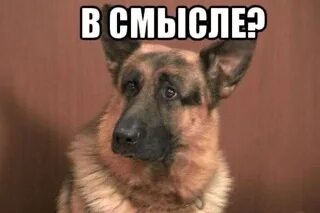 Да в смысле не вижу