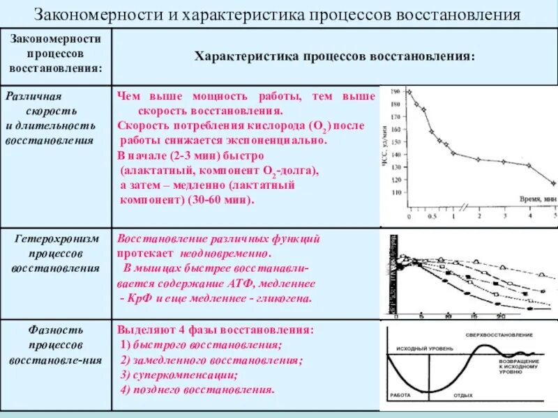 Характеристика процессов восстановления. Физиологическая характеристика восстановления. Характеристика процесса восстановления. Физиологические закономерности восстановительных. Характеристика процессов восстановления.