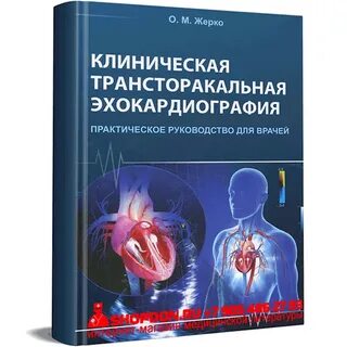 Трансторакальная эхокардиография