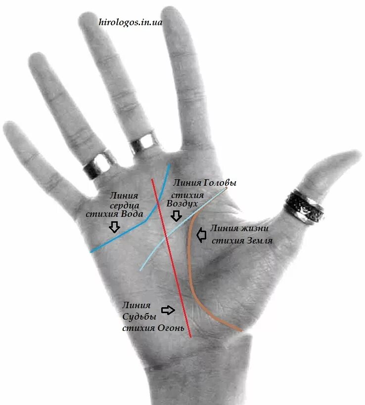 где начинается линия жизни. хиромантия линия изиды. линия жизни на руке. возраст на линии сердца. обозначение линий на ладони.