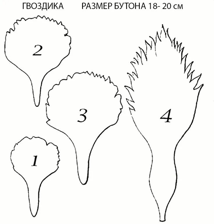 Гвоздики для вырезания. Шаблоны цветов для поделок. Цветы гвоздики для вырезания. Выкройки цветов. Выкройки цветов из гофрированной бумаги.