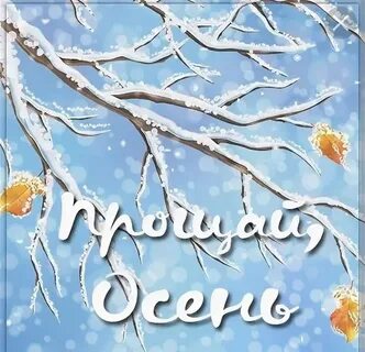 С днем зимней осени