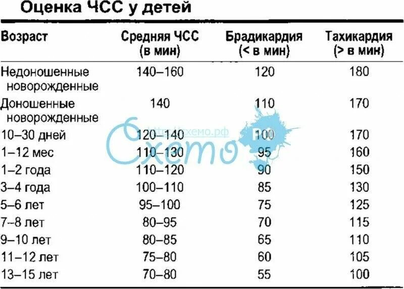 Что такое чсс сердца