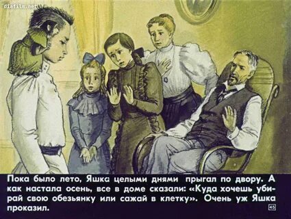 Главные герои рассказа про обезьянку
