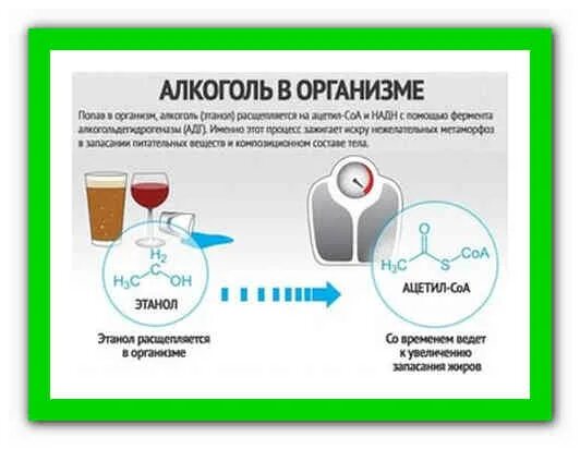 Можно выпить после капельницы