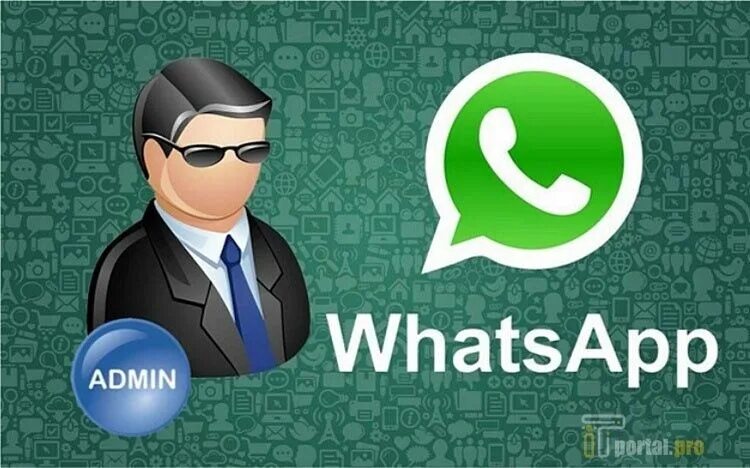 Админ группы в whatsapp