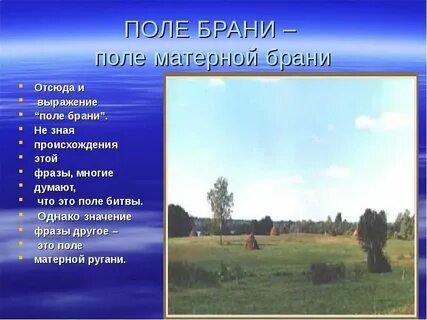 Поле где можно писать