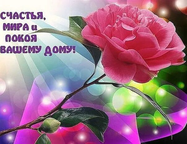 Пусть в вашем доме будет всё. Доброе утро с пожеланиями здоровья. Пусть в вашем доме будет тепло. Пожелание здоровья и душевного спокойствия. Спокойствия вам и вашим близким.
