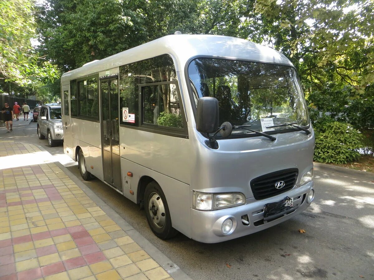 паз-3205 автобус 2005. авто бу автобусы. мини автобус. Ikarus 30. авто бу автобусы.