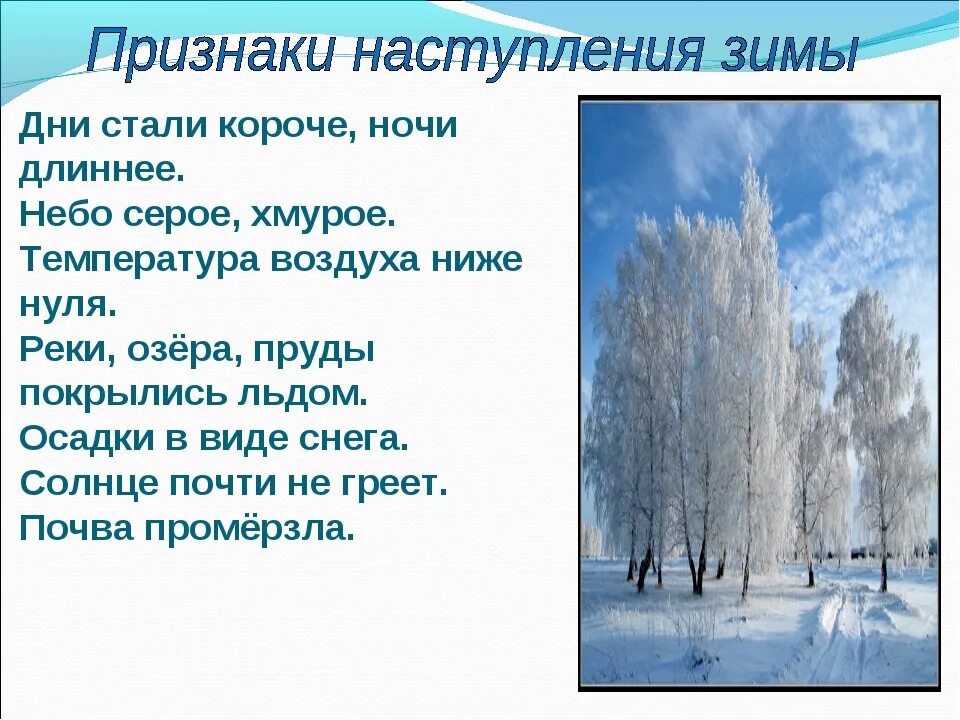 Какие изменения будут в декабре. Сезонные изменения в природе зима. Сообщение о зиме. Призентац я на НМУ щима. Сезонные изменения в природе зимой.