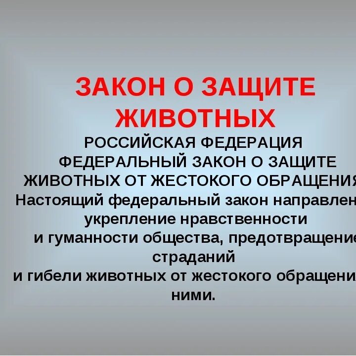 Надлежащее обращение. Закон по защите животных. Статья о защите животных. Законопроект о защите животных. Законы об охране животных.