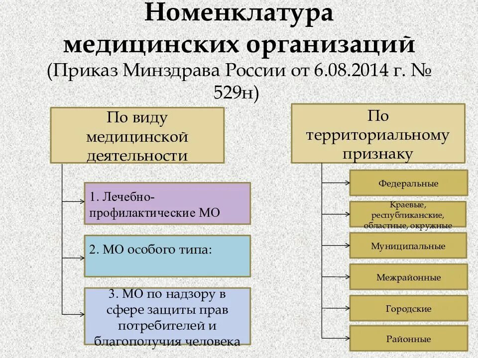 Организация в основном оказывает. Номенклатура учреждений здравоохранения. Номенклатура мед организаций. Номенклатура пед организаций. Номенклатура и классификация медицинских организаций..