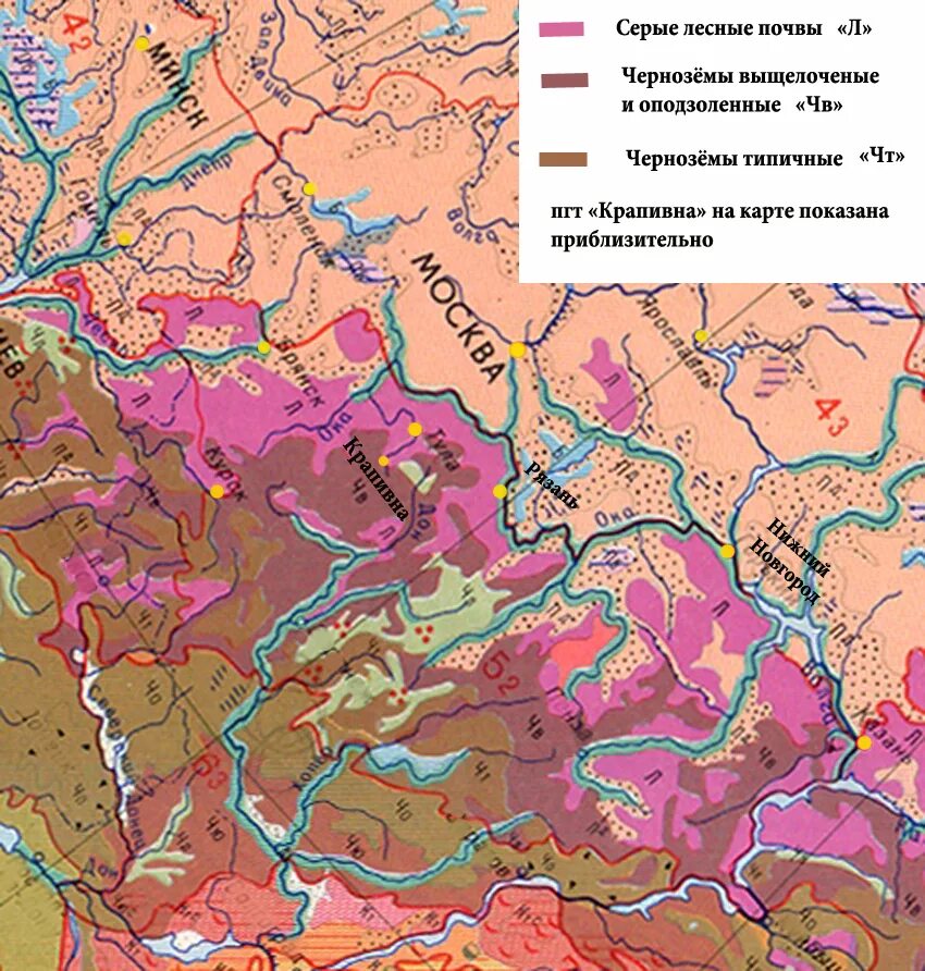 Какие области черноземные почвы россии. Карта чернозема России. Черноземные почвы на карте России. Карта почв чернозема России. Почвы центральной России.