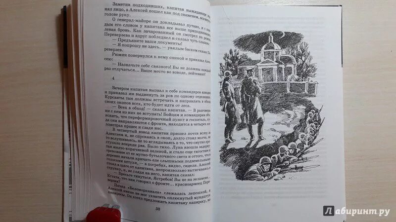 Воробьев рассказы читать. Гуси-лебеди рассказ воробьёва. Рассказы к д Воробьева. Рассказ про воробьёв.