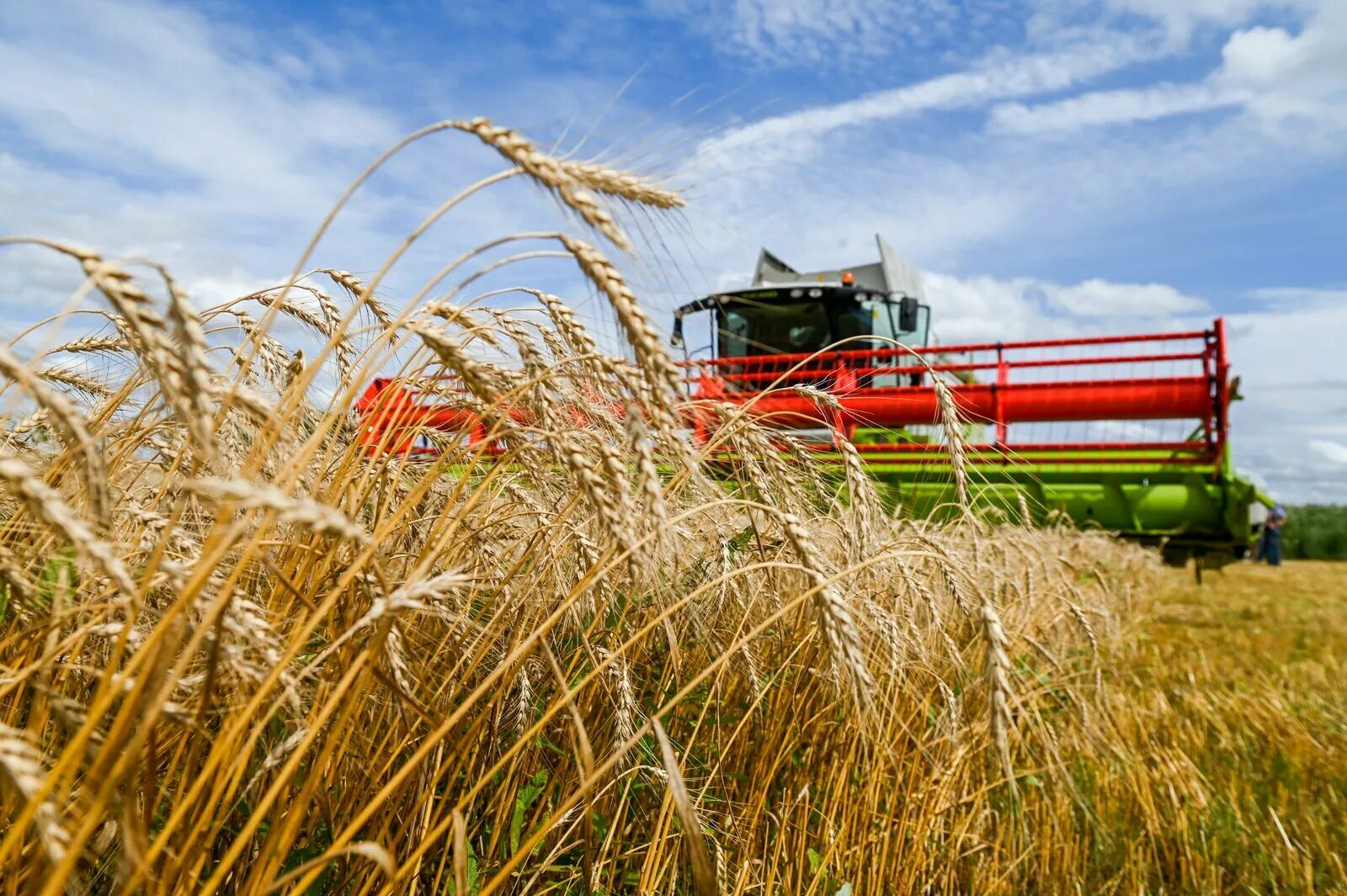 Большой урожай зерновых. Аграрий и сельское хозяйство. Поддержка сельского хозяйства. Сельскохозяйственная промышленность. Аграрии получат.