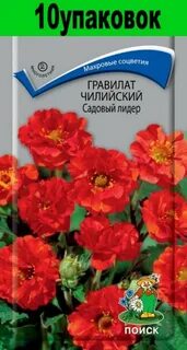 Гравилат чилийский семена