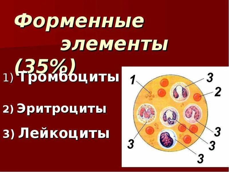 Внутренняя среда организма эритроциты. Внутренняя среда организма лейкоциты. внутренняя среда лейкоциты. форменные элементы картинки. гипертоническая среда клетки это.