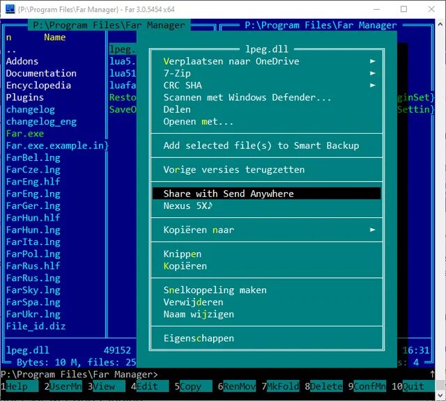 Far linux. Фар менеджер. файл far manager. far manager x64. far manager скин.