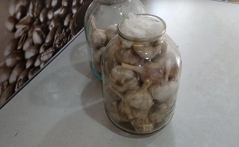 Хранение чеснока. Хранение чеснока в стеклянных банках на зиму. Как хранить чеснок в квартире зимой. Чеснок в стеклянной банке. Как хранить чеснок в квартире зимой.