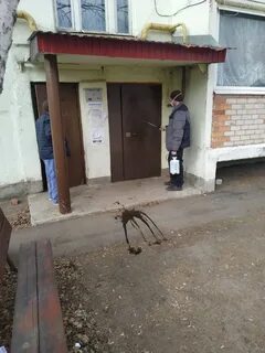 Услышано кинель