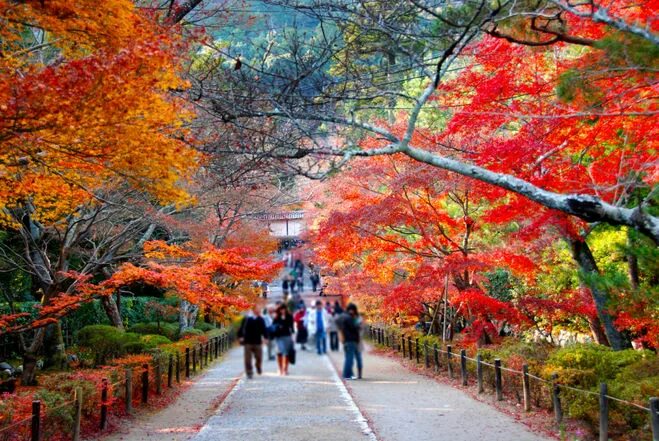 File:131130 Komyoji Nagaokakyo Kyoto pref Japan01s3.jpg - Wikipedia
