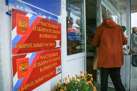 Сосновый бор голосование