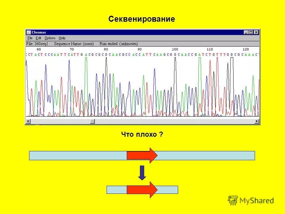 Метод секвенирования днк. Секвенирование. Результаты секвенирования. Секвенирование метод в биологии. Геномное секвенирование анализ.