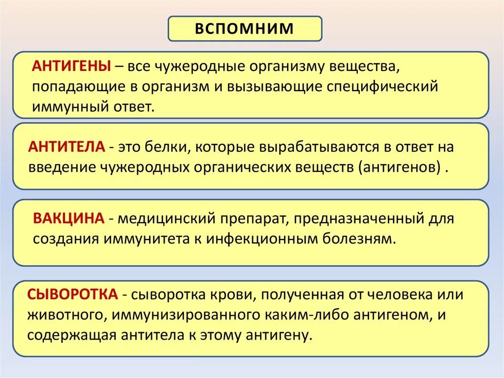 Антигены вызывают. Антигены организма. Антигены в организме вызывают. Антигены попадая в организм. Антигены это вещества.