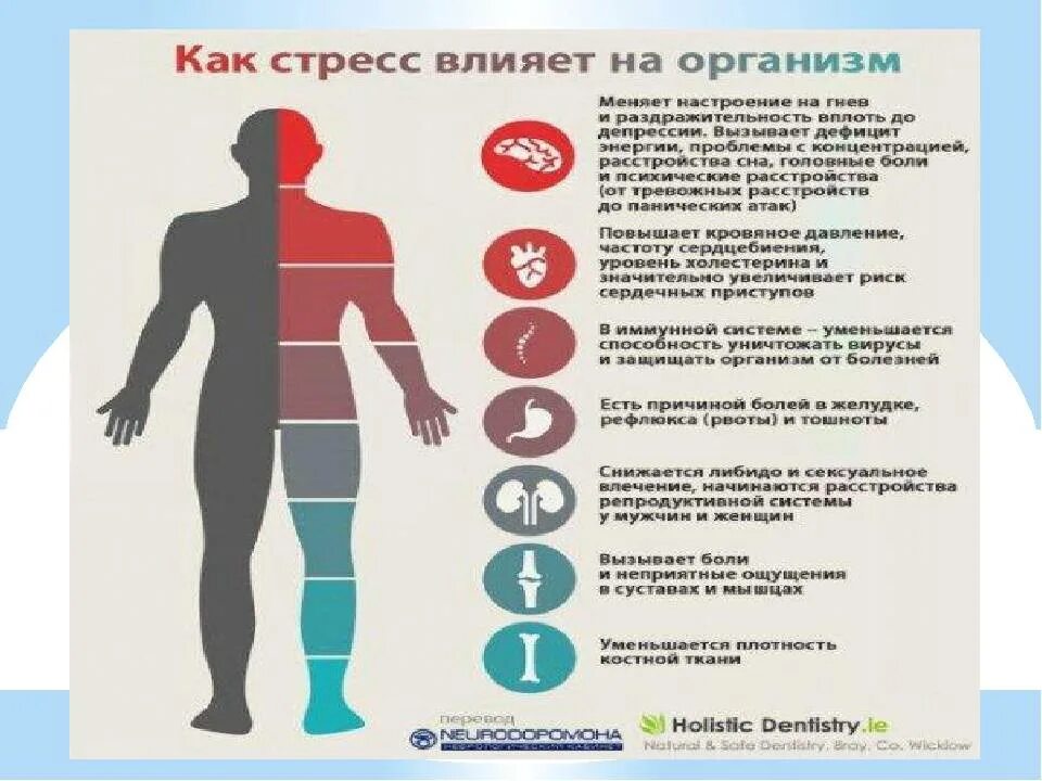 Стресс процессы в организме. Стресса на организм человека. Влияние стресса на организм. Влияние стресса на здоровье. Как стресс влияет на органы.