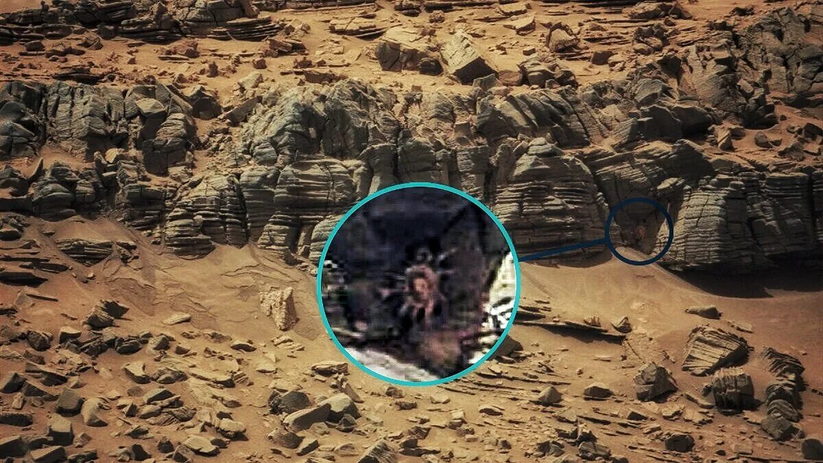 Свежие реальные истории из жизни. Марс Орбитер снимок Марса. Марс снимки НАСА реальные. Снимки Марса с марсохода. Последние снимки с Марса.