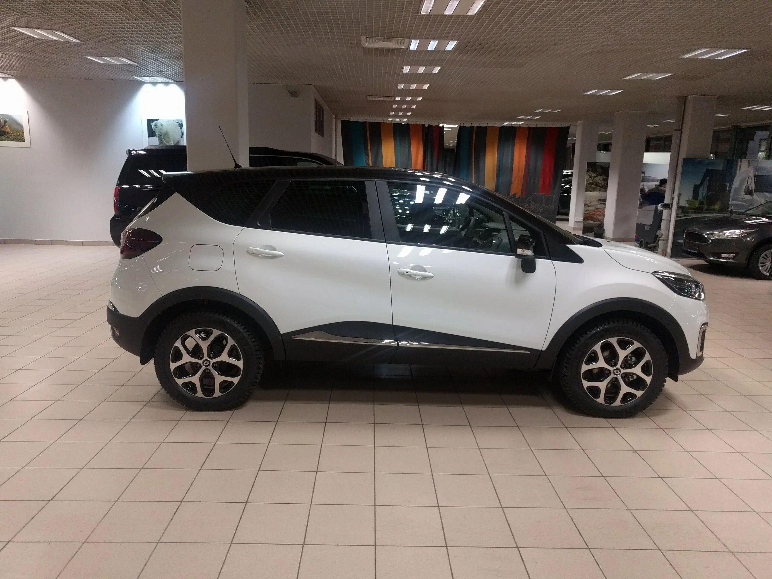 Renault Kaptur (2016) 2.0 бензиновый 2016 4х4 6МКПП,stail на DRIVE2