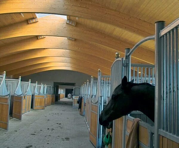 Конюшня грин хорс. Что значит конюшня. Конюшня solana stables. Конюшня джона лоуренса англия. Что значит конюшня.