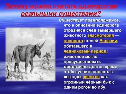Единорог факт