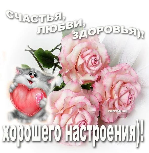 Спасибо за добро и тепло