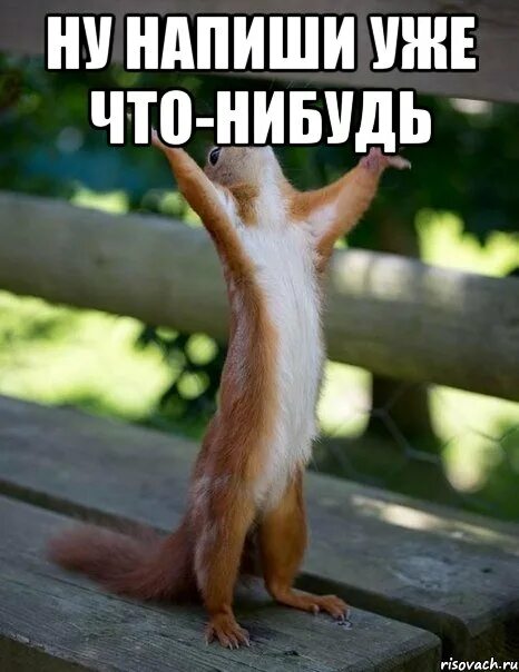 Ну что нибудь есть