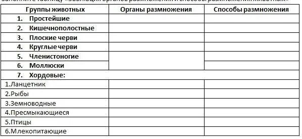Картинки ТАБЛИЦА РАЗВИТИЯ ЖИВОТНЫХ
