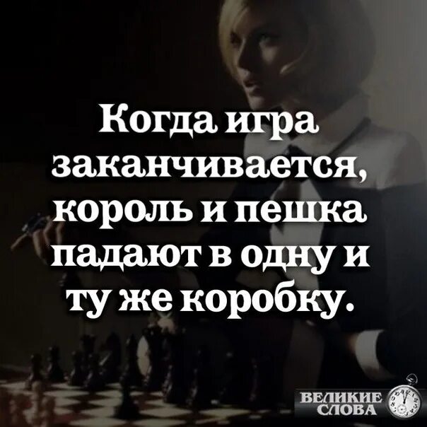 Король и пешка падают в одну коробку. Высказывания шахматистов. Король и пешка в одной коробке. Король и пешка в одной коробке. Король и пешка в одной коробке.